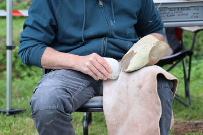 Agrandir l'image 5 sur 15, fenêtre modale