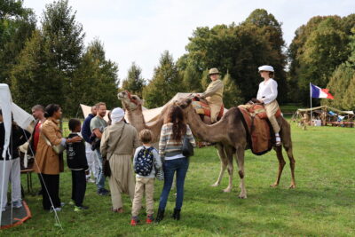 Agrandir l'image 7 sur 15, fenêtre modale