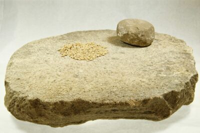 une roche large et lisse, des céréales posés dessus, et une petite pierre ronde posée dessus à côté des céréales - Agrandir l'image 3 sur 9, fenêtre modale