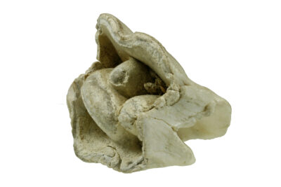 une roche grisâtre à la fois lisse et creusée - Agrandir l'image 4 sur 9, fenêtre modale