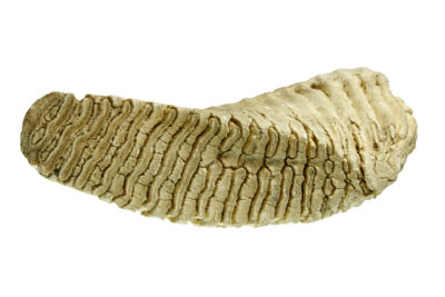 Agrandir l'image 6 sur 9, fenêtre modale