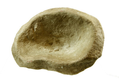 un fossile creux, lissé - Agrandir l'image 6 sur 7, fenêtre modale