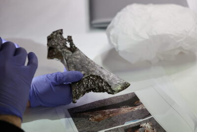 Agrandir l'image 12 sur 12, fenêtre modale