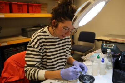 Agrandir l'image 4 sur 12, fenêtre modale