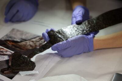 Agrandir l'image 10 sur 12, fenêtre modale