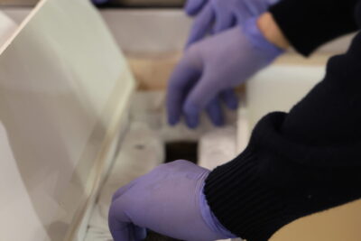 Agrandir l'image 9 sur 12, fenêtre modale