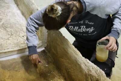 Agrandir l'image 11 sur 12, fenêtre modale