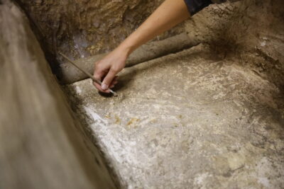 Agrandir l'image 8 sur 12, fenêtre modale