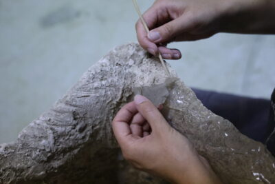 Agrandir l'image 6 sur 12, fenêtre modale