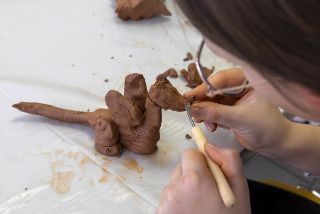 Agrandir l'image, fenêtre modale