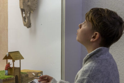 Agrandir l'image 9 sur 12, fenêtre modale