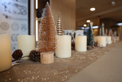 Agrandir l'image 2 sur 9, fenêtre modale