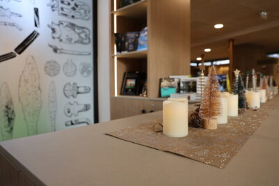 Agrandir l'image 3 sur 9, fenêtre modale