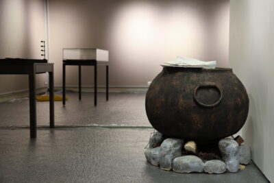 Agrandir l'image 12 sur 12, fenêtre modale