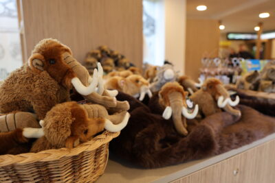 Agrandir l'image 2 sur 9, fenêtre modale