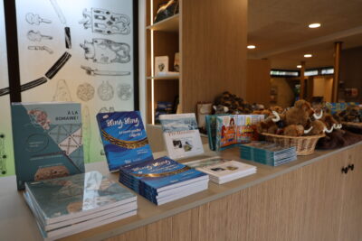 Agrandir l'image 1 sur 9, fenêtre modale