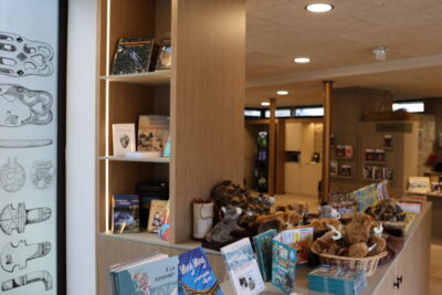 Agrandir l'image 8 sur 9, fenêtre modale