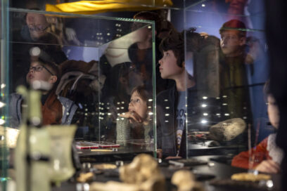 Agrandir l'image, fenêtre modale